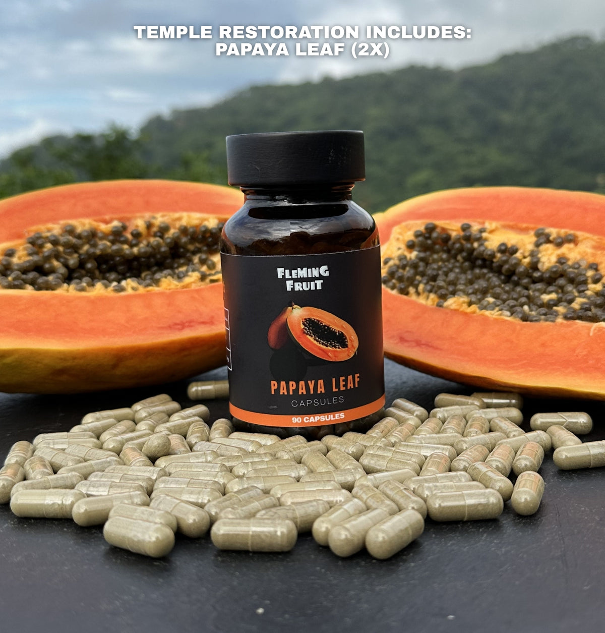 Temple Restoration Bundle