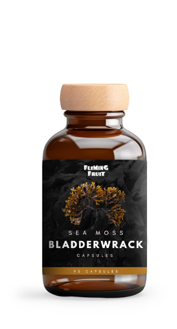 Sea Moss + Bladderwrack Capsules