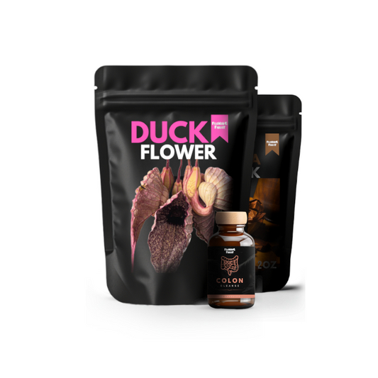 Detox Bundle